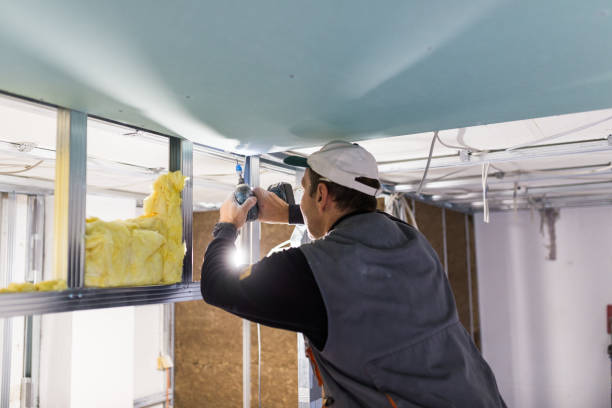 Best Residential Insulation Services  in Romney, WV