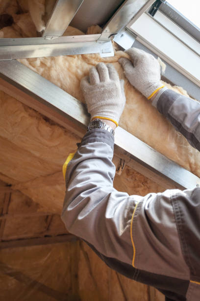 Best Insulation Replacement Services  in Romney, WV