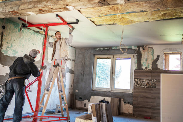 Best Attic Insulation Installation  in Romney, WV