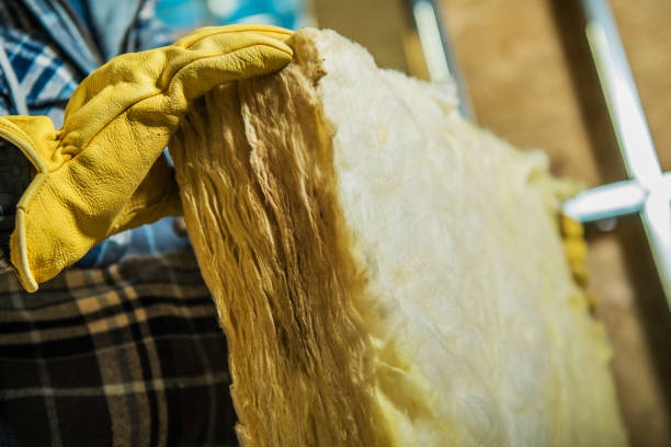 Best Insulation Contractors for Homes  in Romney, WV