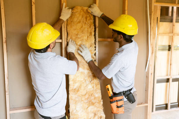 Best Blown-in Insulation  in Romney, WV