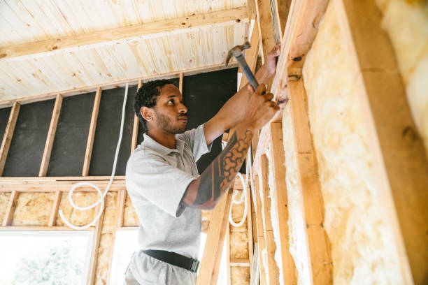 Best Insulation for New Construction  in Romney, WV