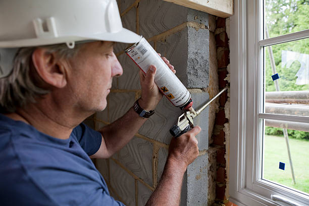 Best Local Insulation Services  in Romney, WV