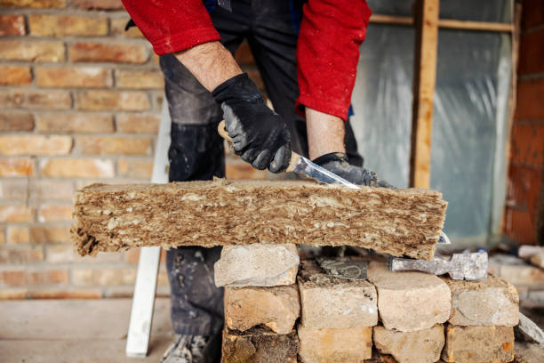 Best Insulation Repair Services  in Romney, WV