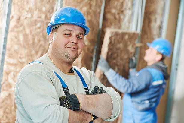 Best Insulation Contractor Near Me  in Romney, WV