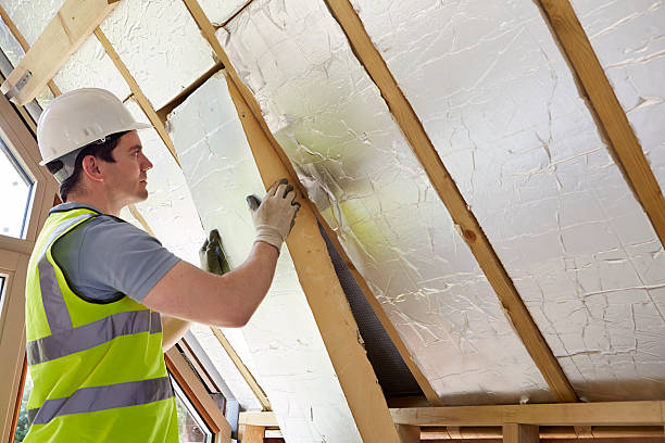 Best Energy-efficient Insulation  in Romney, WV