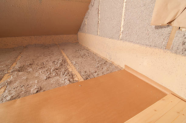 Best Crawl Space Insulation  in Romney, WV